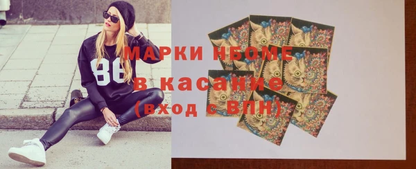 шишки Абаза