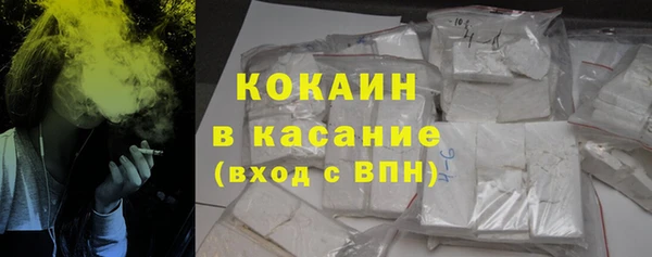 шишки Абаза