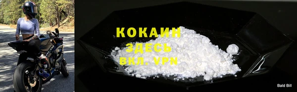 шишки Абаза