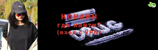 шишки Абаза