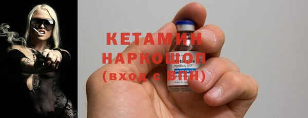 шишки Абаза