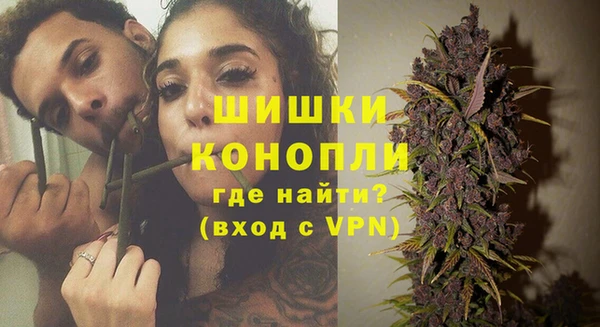шишки Абаза