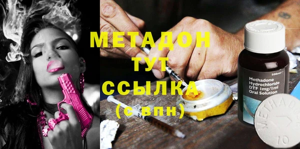 шишки Абаза
