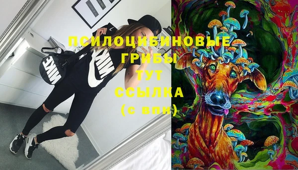 шишки Абаза