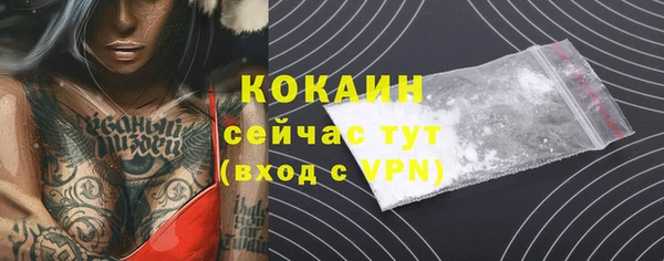 шишки Абаза