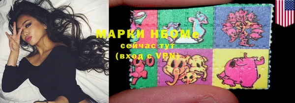 шишки Абаза