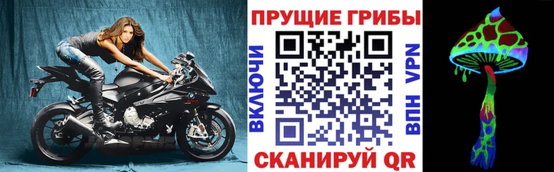 Галлюциногенные грибы прущие грибы  Шиханы 
