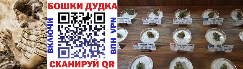 купить   Шиханы  гидра как зайти  Бошки марихуана ГИДРОПОН 